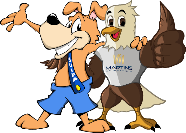 <h2>A SUIPA - <strong>Como tudo come&ccedil;ou</strong></h2>